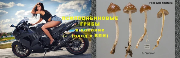 тгк Арсеньев