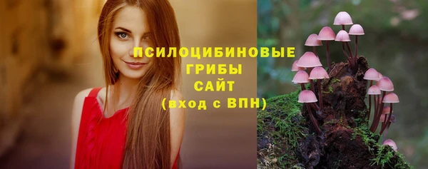 эйфоретик Балахна