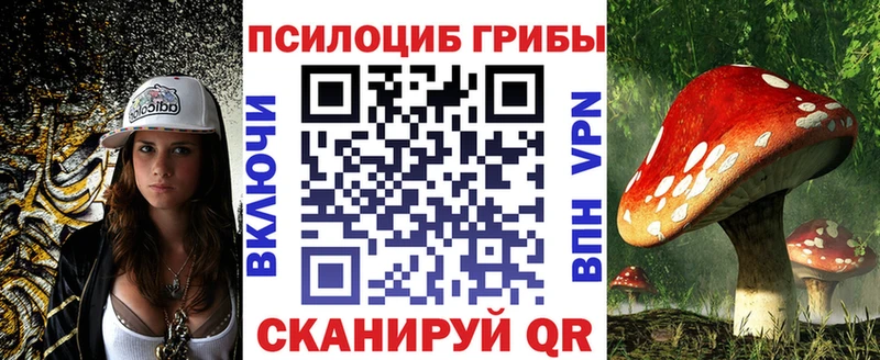 наркошоп  Поронайск  Псилоцибиновые грибы мицелий 